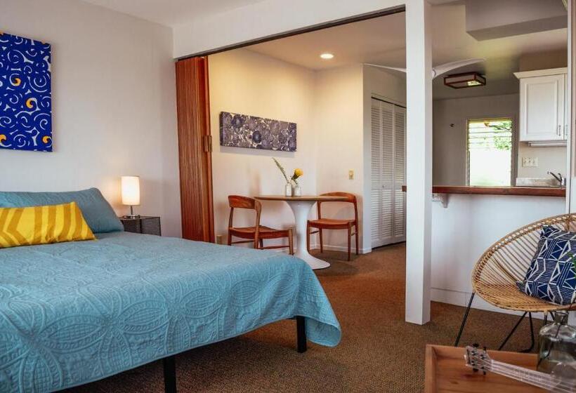 استودیوی استاندارد, Napili Village