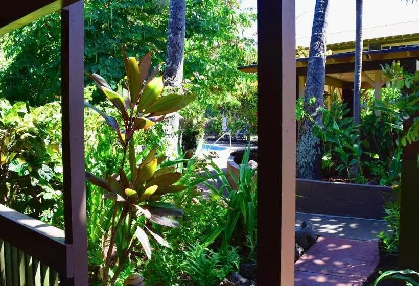 スタンダードスタジオ, Napili Village