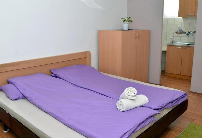 Standard studio with lake view, Apartments Villa Saray