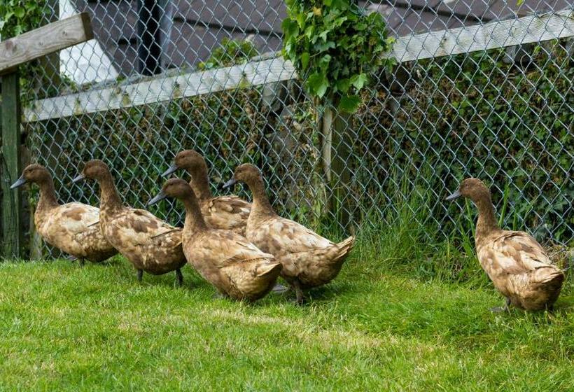 Номер Стандарт, Cairnryan Bed And Breakfast