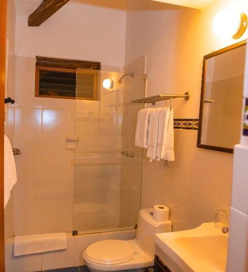 اتاق استاندارد یک نفره, El Patio De Monterrey