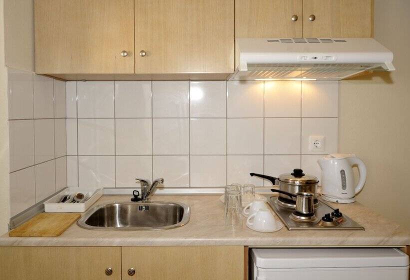 庭の見える１ベッドルームアパートメント, Anita Apart