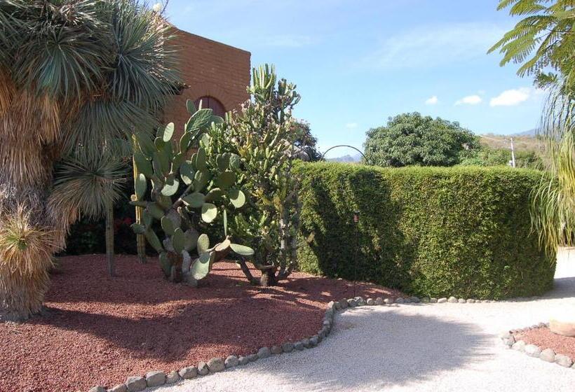 غرفه قياسيه سريرين مزدوجين, Hostal De La Luz