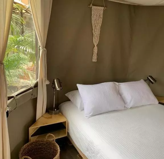 デラックススイート, Hostal De La Luz