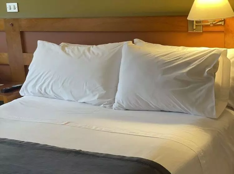 Superior-huone, Almasur Punta Arenas