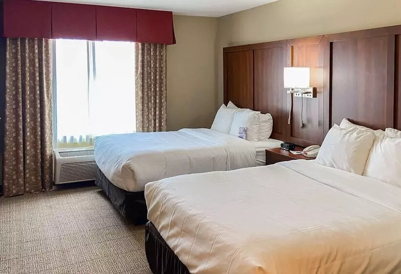 スイート, Comfort Suites Gallup East Route 66 And I40