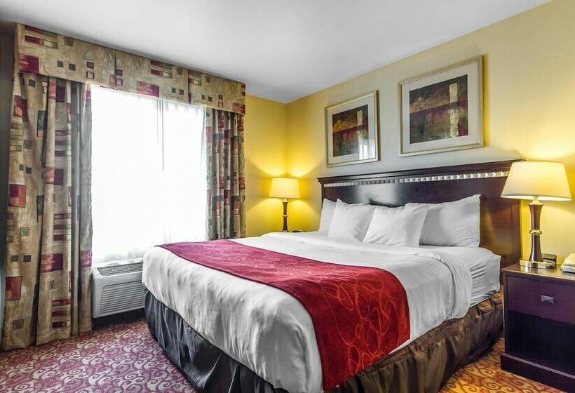Люкс, Comfort Suites Vacaville Napa Valley Area