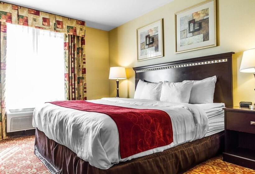 スイート, Comfort Suites Vacaville Napa Valley Area