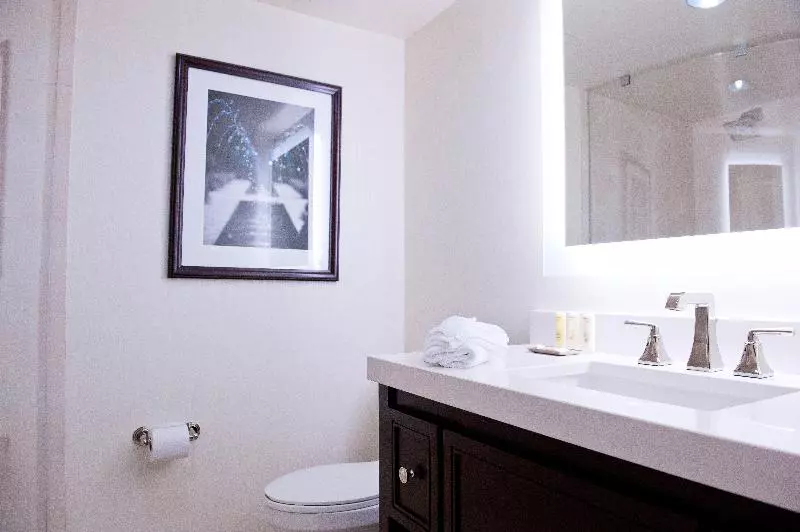 キングサイズベッドのスタンダードルーム, Crowne Plaza Hotel Philadelphia   King Of Prussia, An Ihg