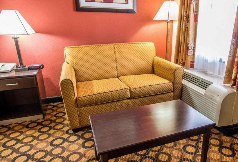 غرفة قياسية سرير كينج لذوى الإحتياجات الخاصة, Econo Lodge