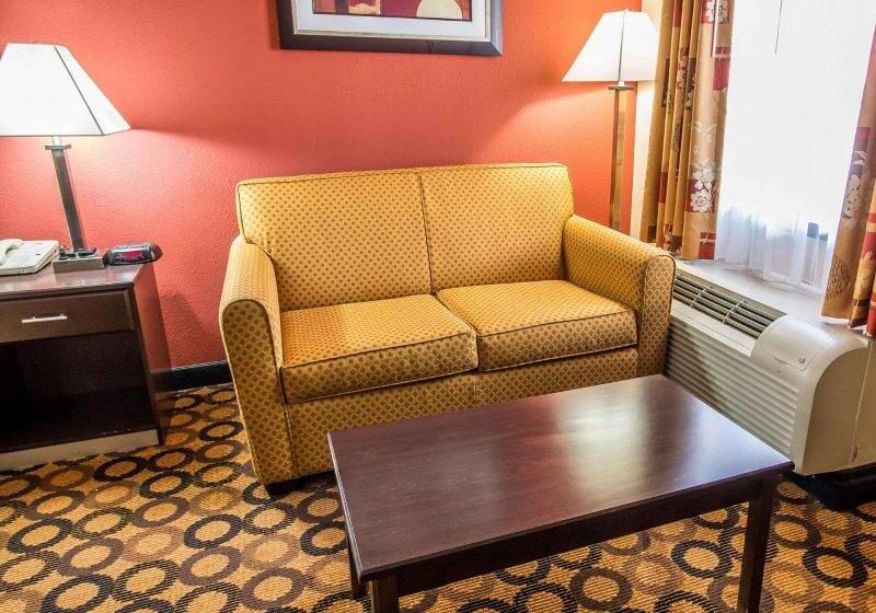 غرفة قياسية سرير كينج, Econo Lodge