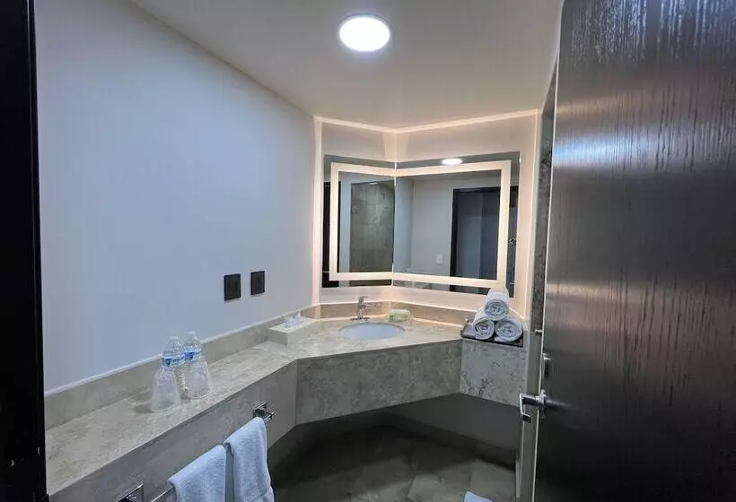2ダブルベッドのスタンダードルーム, Holiday Inn Uruapan, An Ihg
