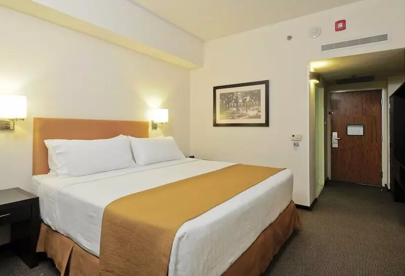 スタンダードルーム, Holiday Inn Uruapan, An Ihg