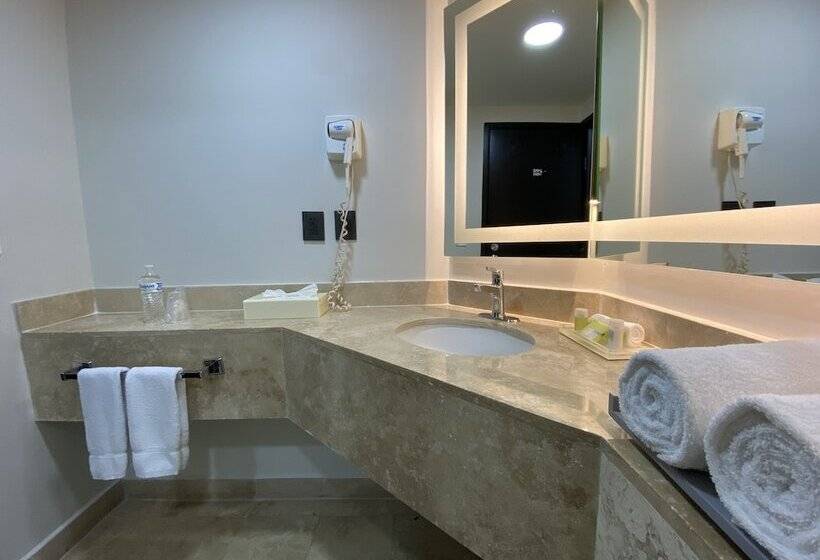 חדר סטנדרט שתי מיטות זוגיות, Holiday Inn Uruapan, An Ihg