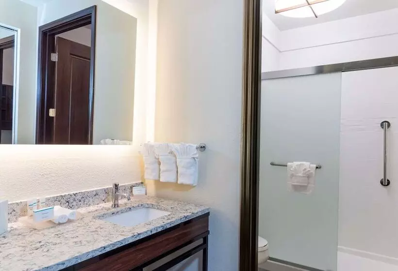 ダブルベッドのスタンダードスタジオ, Homewood Suites By Hilton Indianapolisdowntown