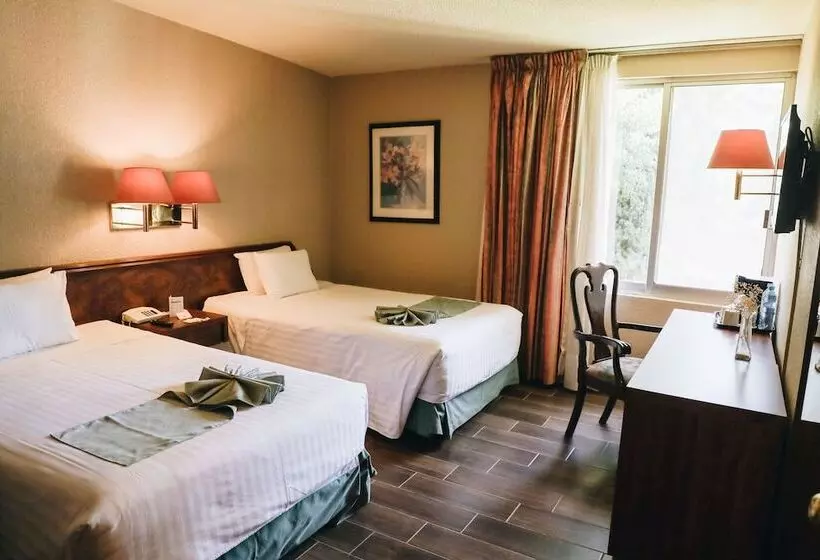 Deluxe-huone, La Joya Tulancingo