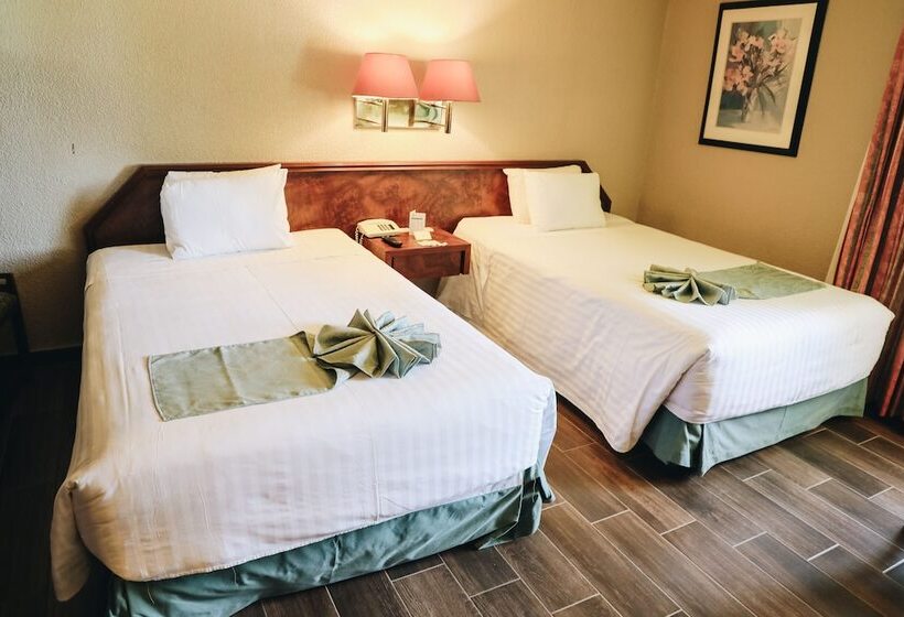 סוויטת ג'וניור, La Joya Tulancingo