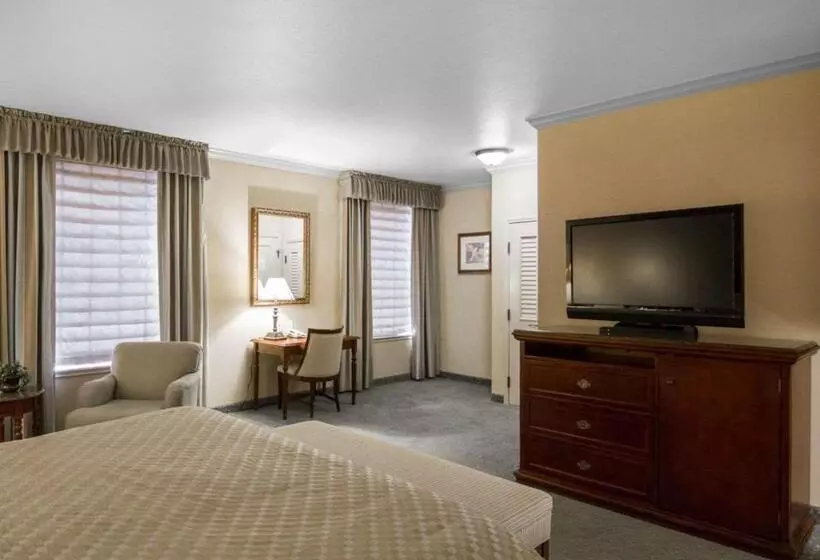 Standard Room King Bed Adapted for people with reduced mobility