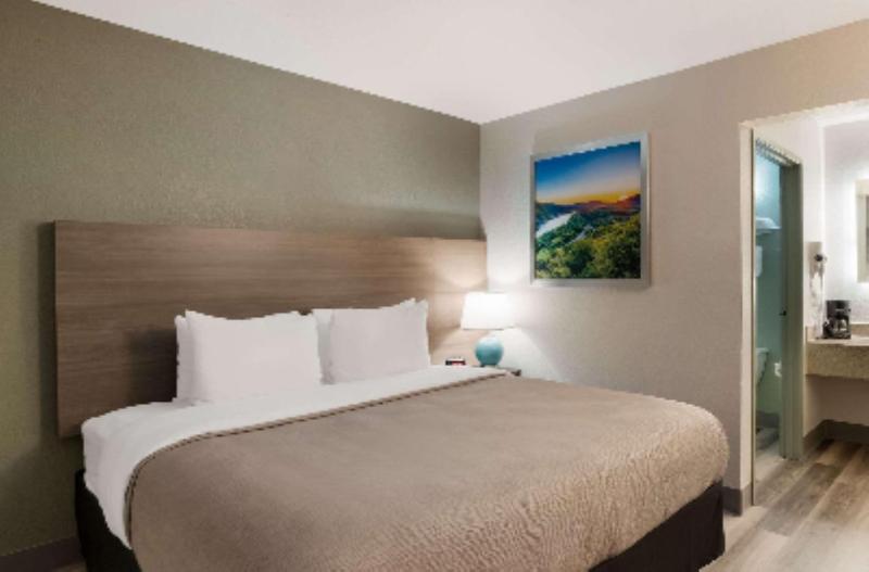 Standard Szoba, Real Catedral