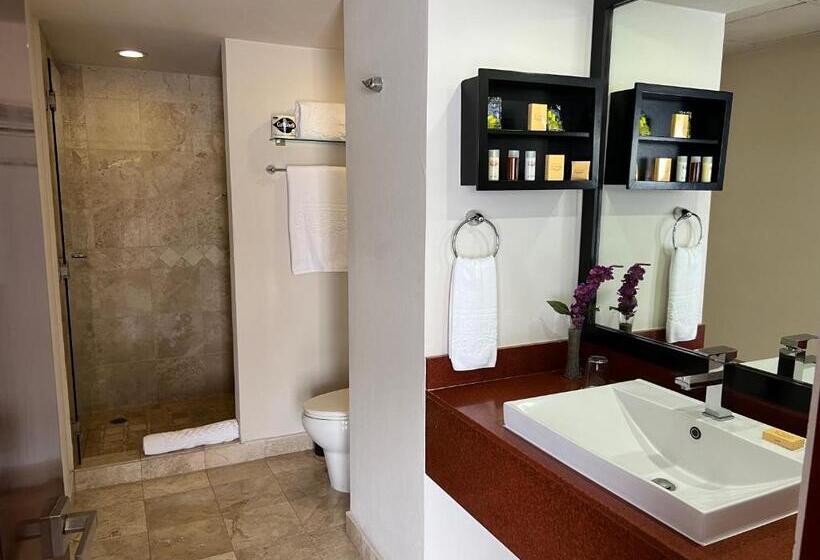 １ベッドルームのデラックスアパートメント, St Isidro Suites Corporate Housing Spa & Wellness Center