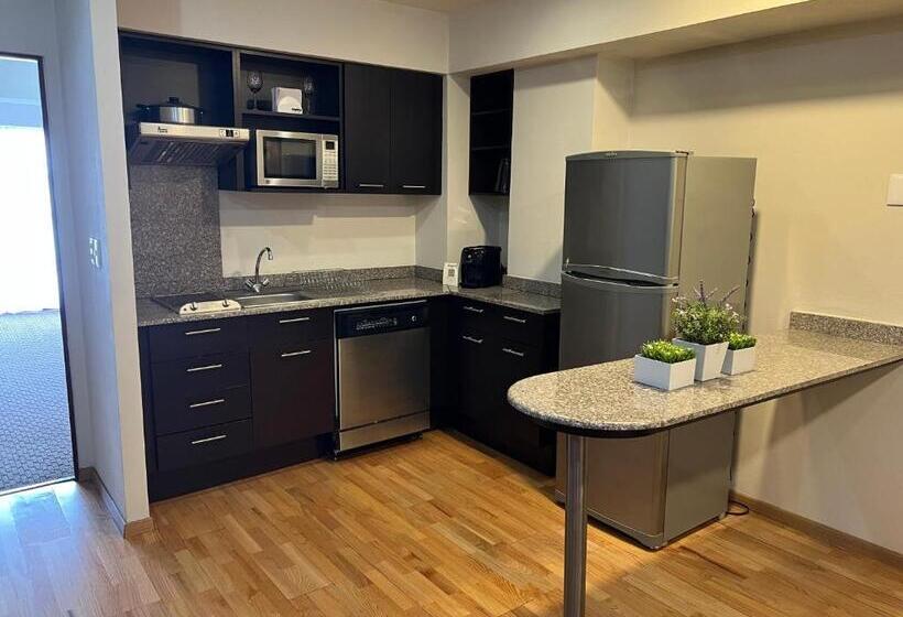 １ベッドルームのデラックスアパートメント, St Isidro Suites Corporate Housing Spa & Wellness Center