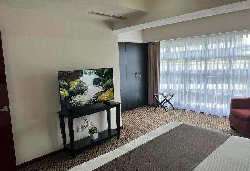 １ベッドルームのデラックスアパートメント, St Isidro Suites Corporate Housing Spa & Wellness Center