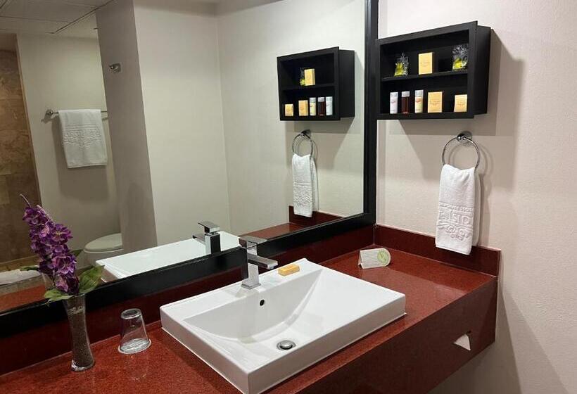 １ベッドルームアパートメント, St Isidro Suites Corporate Housing Spa & Wellness Center