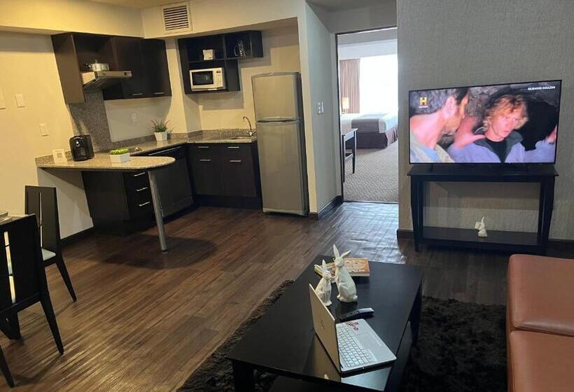 １ベッドルームアパートメント, St Isidro Suites Corporate Housing Spa & Wellness Center