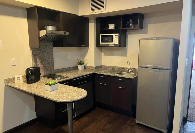 １ベッドルームアパートメント, St Isidro Suites Corporate Housing Spa & Wellness Center