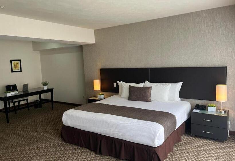 １ベッドルームアパートメント, St Isidro Suites Corporate Housing Spa & Wellness Center