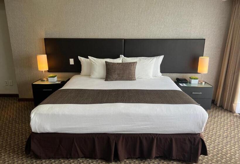 １ベッドルームアパートメント, St Isidro Suites Corporate Housing Spa & Wellness Center