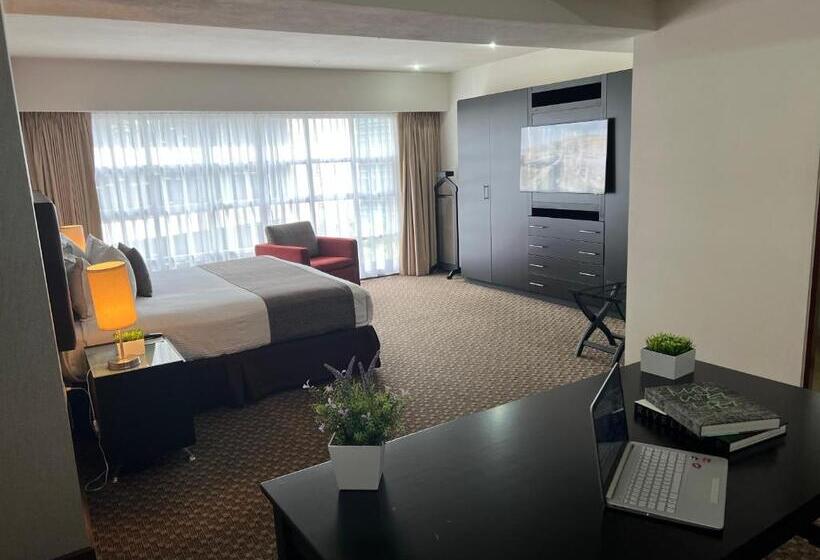 １ベッドルームアパートメント, St Isidro Suites Corporate Housing Spa & Wellness Center