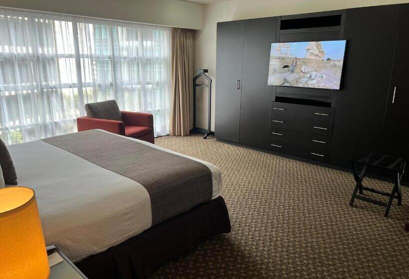 １ベッドルームアパートメント, St Isidro Suites Corporate Housing Spa & Wellness Center