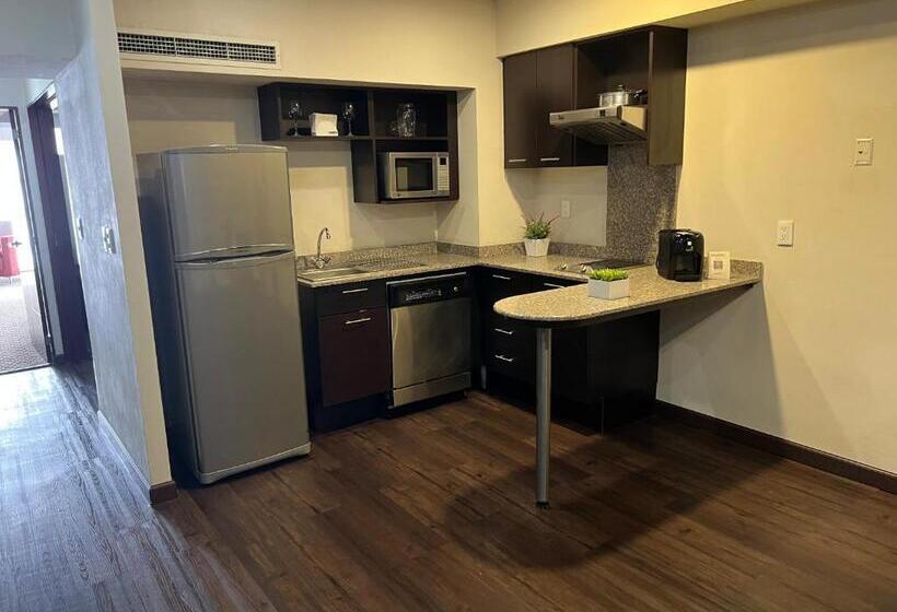 一ベッドルームエクゼクティブアパートメント, St Isidro Suites Corporate Housing Spa & Wellness Center