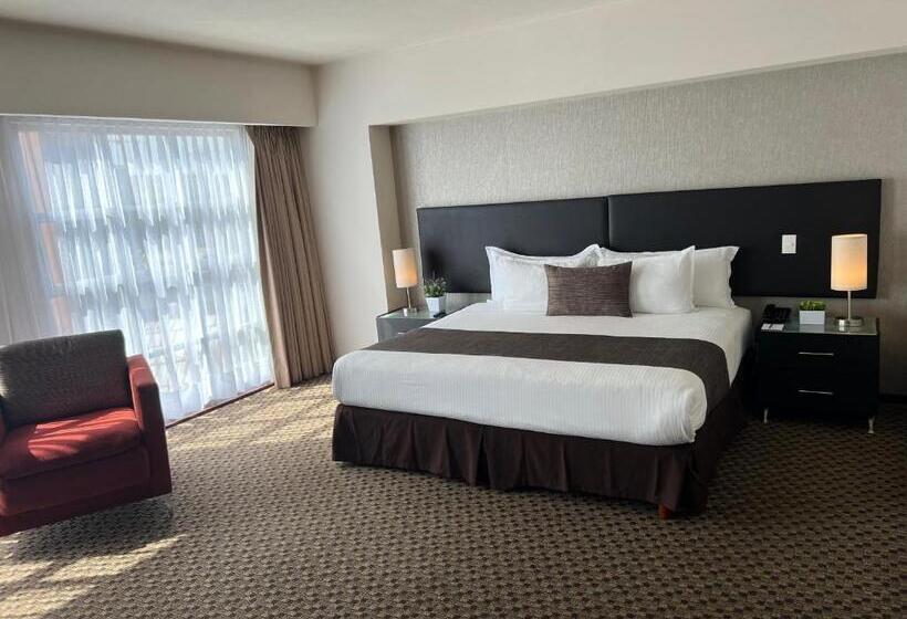 一ベッドルームエクゼクティブアパートメント, St Isidro Suites Corporate Housing Spa & Wellness Center