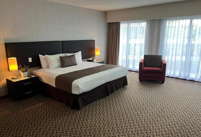 ２ベッドルームアパートメント, St Isidro Suites Corporate Housing Spa & Wellness Center