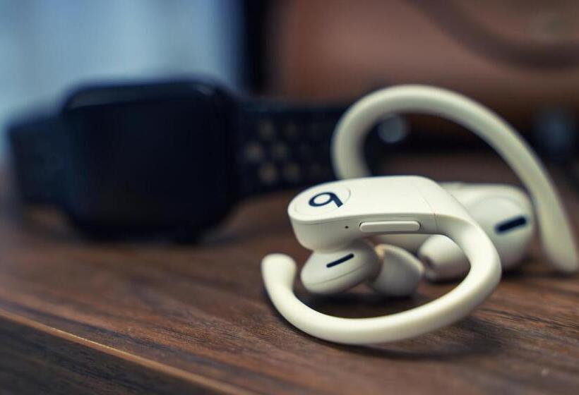 اتاق استاندارد, Onyx