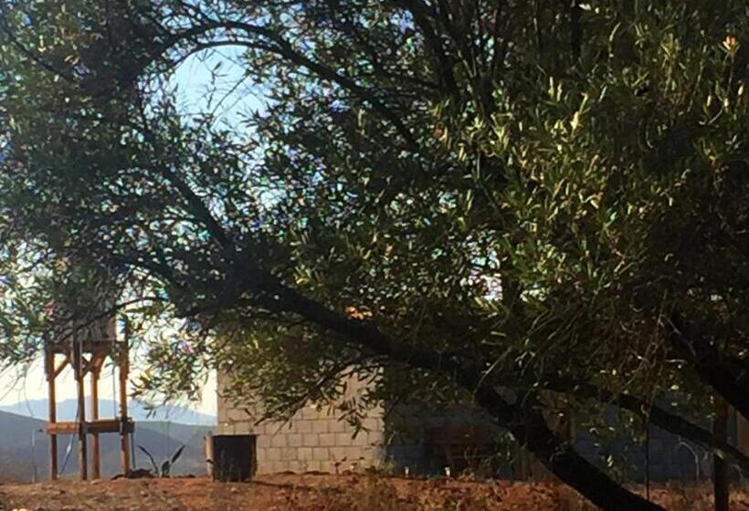 اتاق استاندارد, Cabaña San Tony