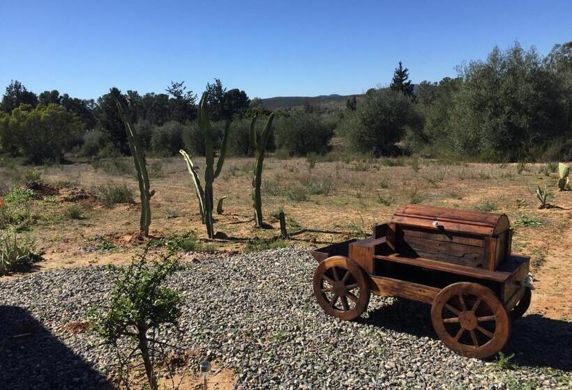 اتاق استاندارد, Cabaña San Tony