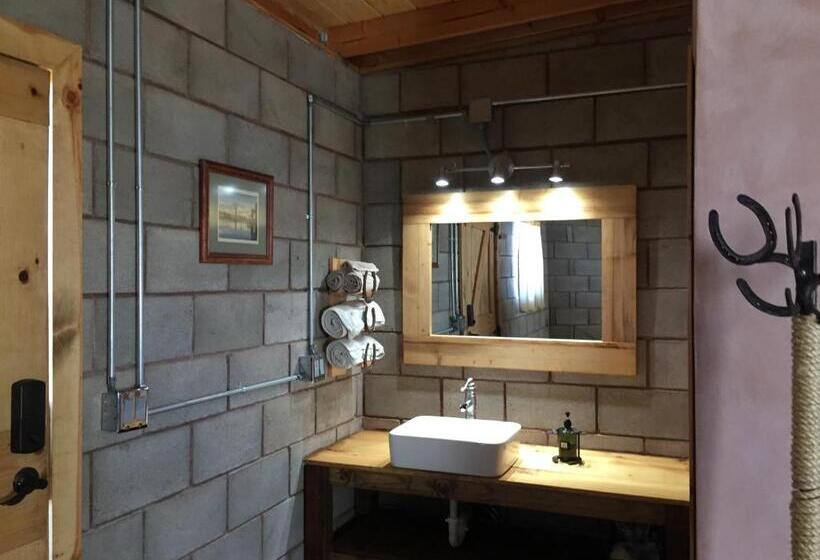 اتاق استاندارد, Cabaña San Tony