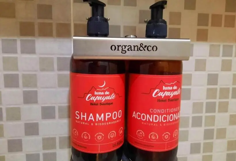スタンダードトリプルルーム, Luna De Cafayate Hotel Boutique