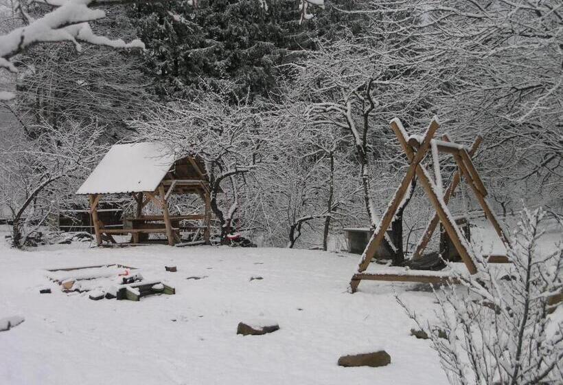 خانه 1 خوابه, Arnika Tatariv