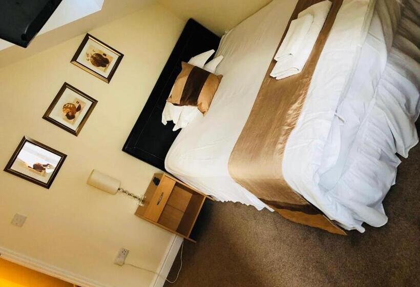 싱글 디럭스 룸, Filton Guest House