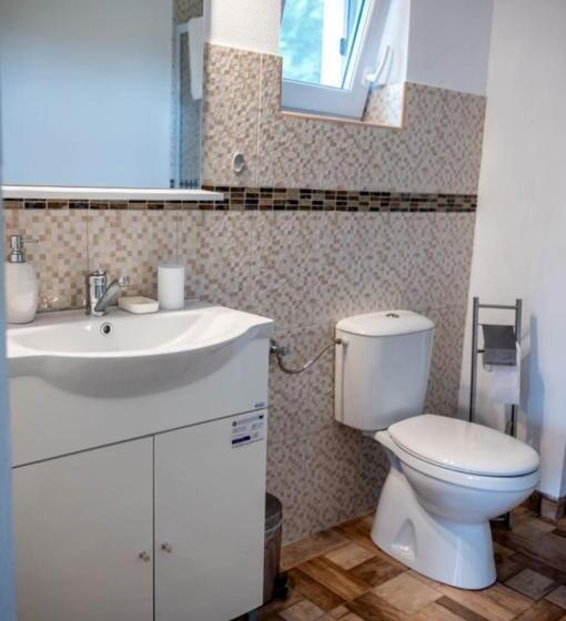 침실 1개 주택, Pensiunea Rozelor Stațiunea Climaterică Sâmbăta