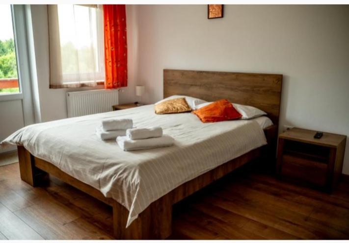 침실 1개 주택, Pensiunea Rozelor Stațiunea Climaterică Sâmbăta