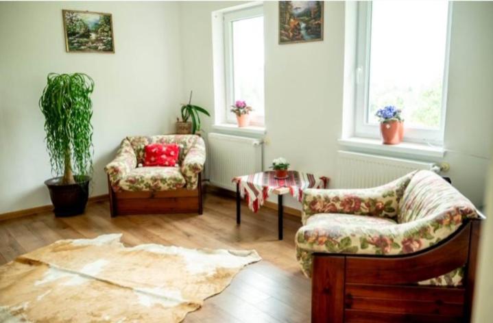 침실 1개 주택, Pensiunea Rozelor Stațiunea Climaterică Sâmbăta