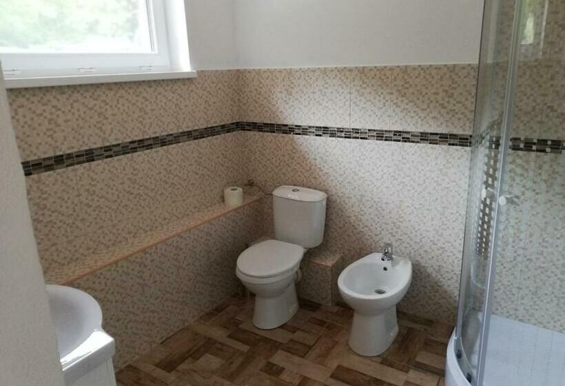 디럭스 패밀리 룸, Pensiunea Rozelor Stațiunea Climaterică Sâmbăta