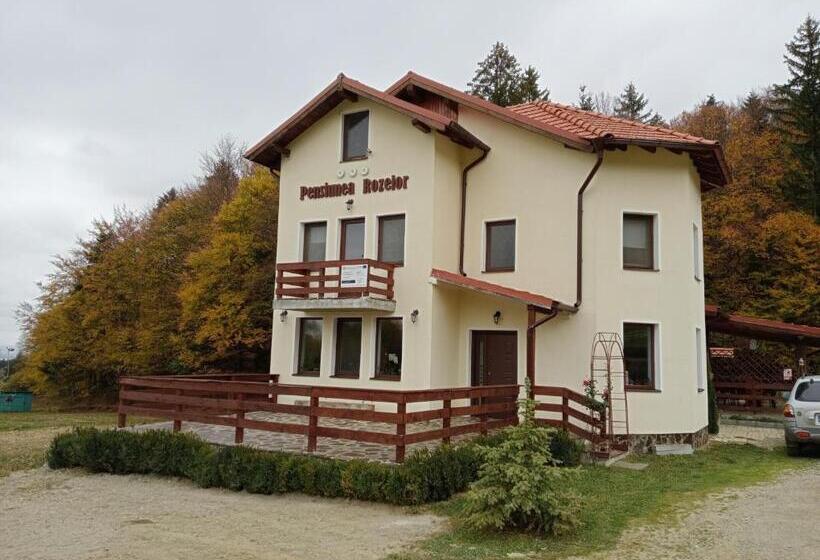 침실 1개 주택, Pensiunea Rozelor Stațiunea Climaterică Sâmbăta