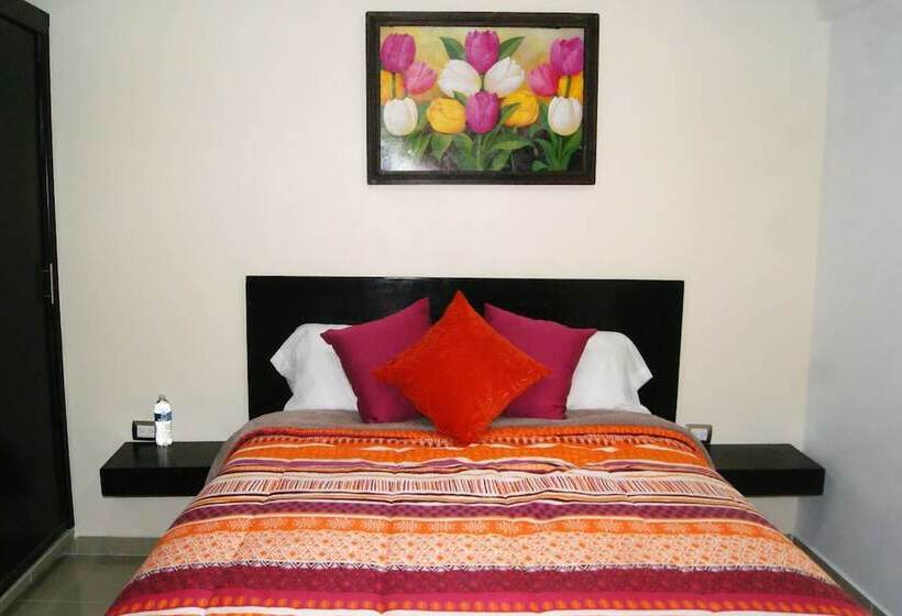 スタンダードルーム, Alo Inn