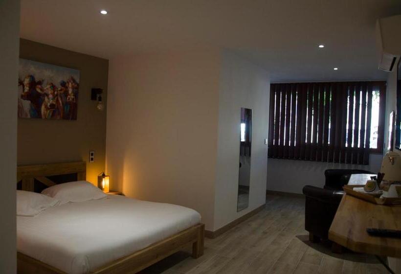 חדר סטנדרט, Aux Platanes